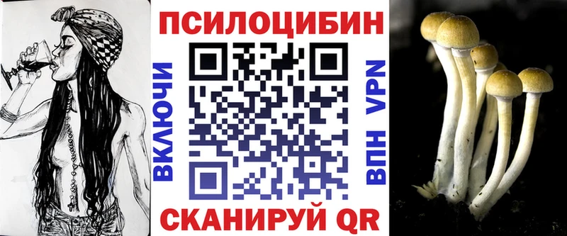 Галлюциногенные грибы мухоморы  Купить где  Алзамай 