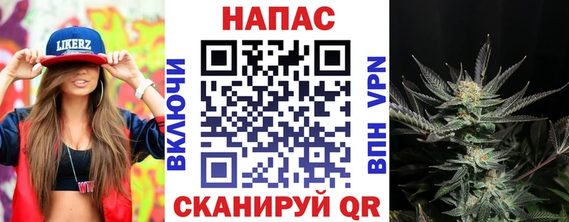 Купить закладки  Алзамай  Каннабис планчик 